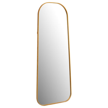 Coaster Furniture Simeon 962822 20 x 52 Inch Full Length Floor Mirror - Antique Gold IMAGE 1