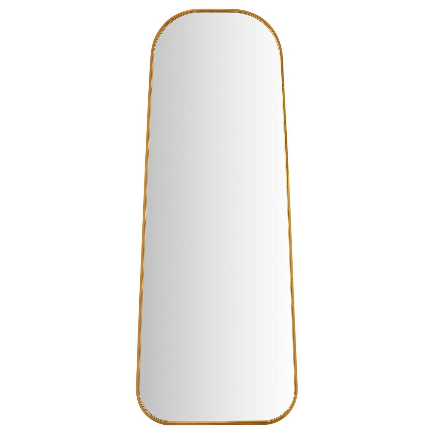 Coaster Furniture Simeon 962822 20 x 52 Inch Full Length Floor Mirror - Antique Gold IMAGE 2