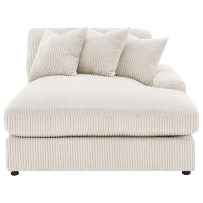 Coaster Furniture Blaine 509899-SET Upholstered Reversible Sectional Sofa - Sand IMAGE 14