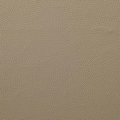  Furniture of America Gaspe Power Leather Recliner CM6739LB-CH-PM IMAGE 4
