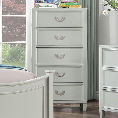 Furniture of America Lycorida CM7477GY-C Chest IMAGE 1