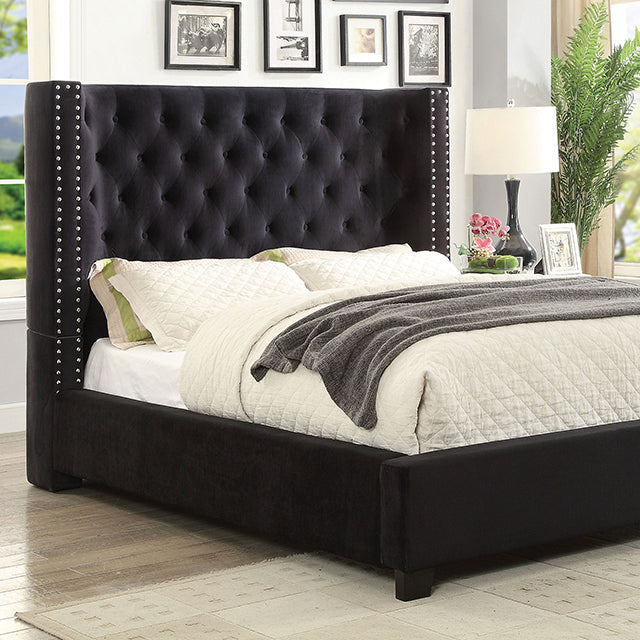  Furniture of America Carley Queen Bed CM7775BK-Q-BED IMAGE 1