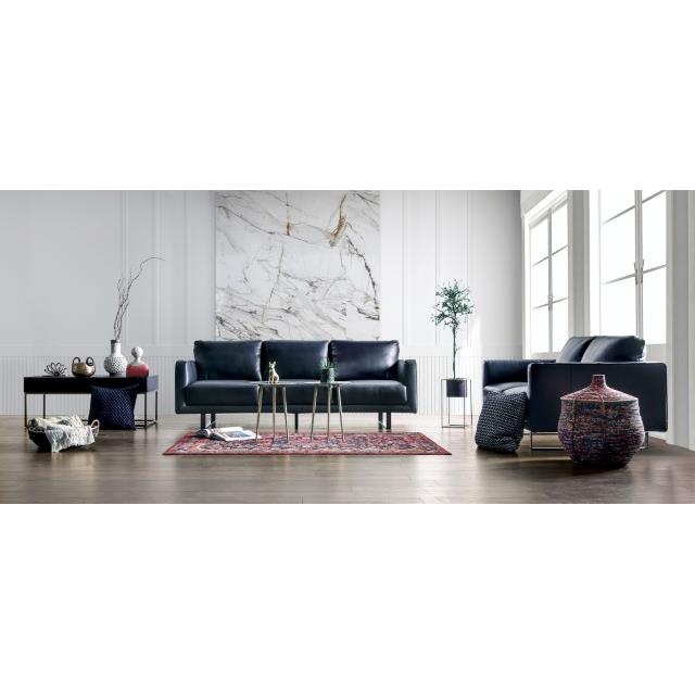 Furniture of America Mezzanotte FM90000-LV-PK Loveseat IMAGE 2