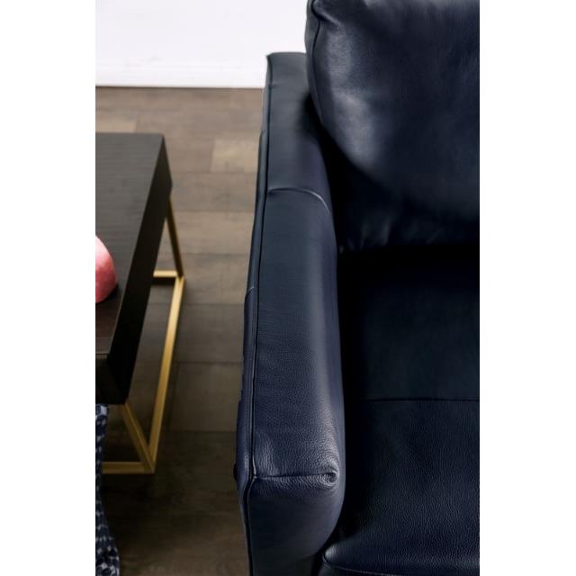Furniture of America Mezzanotte FM90000-LV-PK Loveseat IMAGE 5