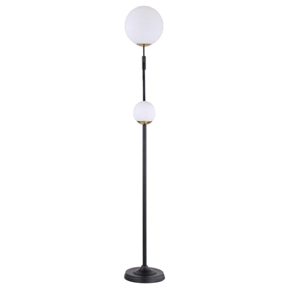 Coaster Furniture Dacki 920243 69-inch Dual Spherical Bulb Metal Floor Lamp - Black IMAGE 3