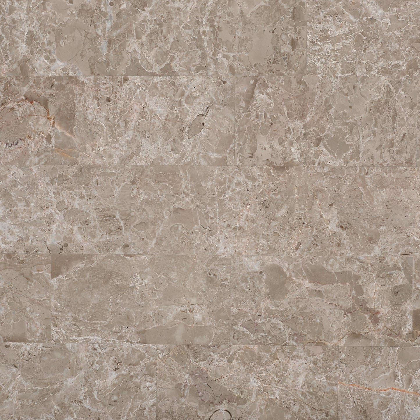  Elements International Kansas CKS100ET End Table IMAGE 9