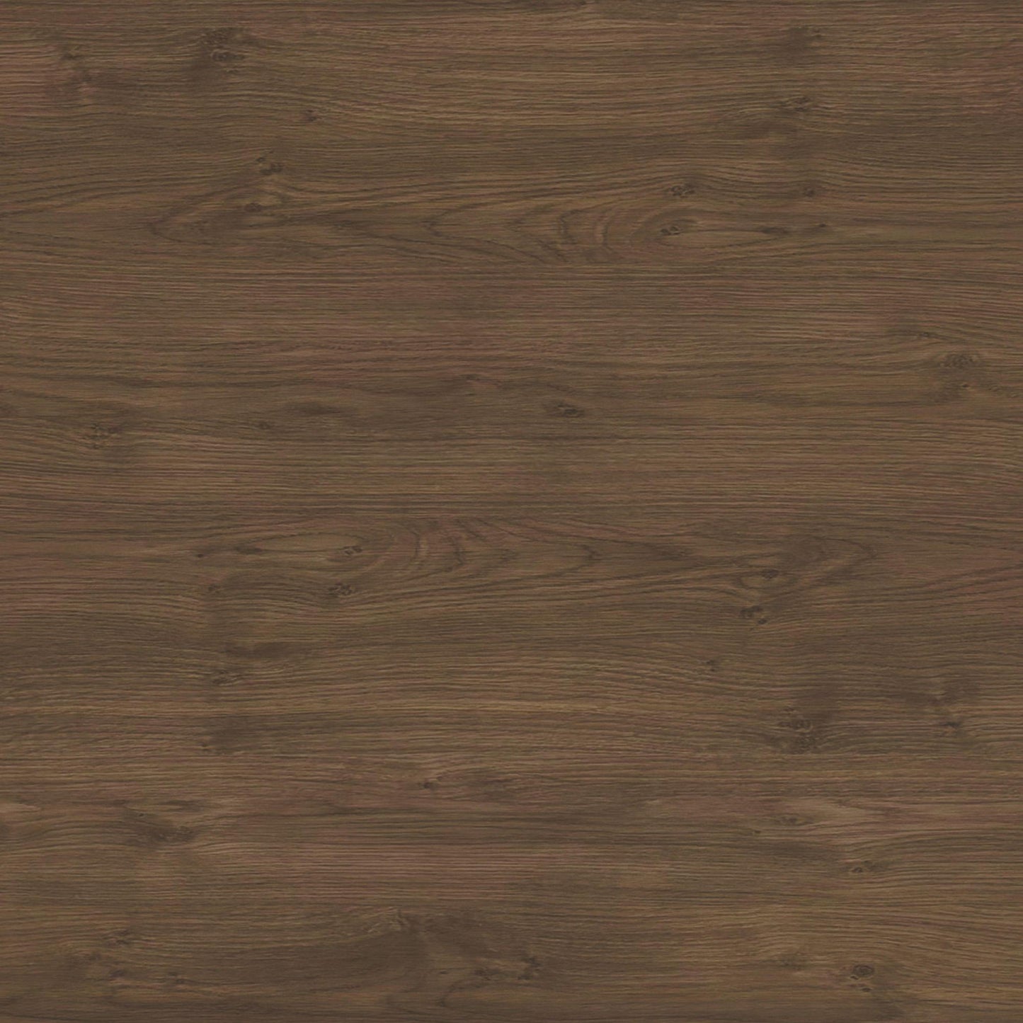  Elements International Brisbane D-16760-5-SV Server IMAGE 7