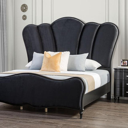  Furniture of America Melodi Parc FM7416BK-Q-BED Queen Bed IMAGE 1