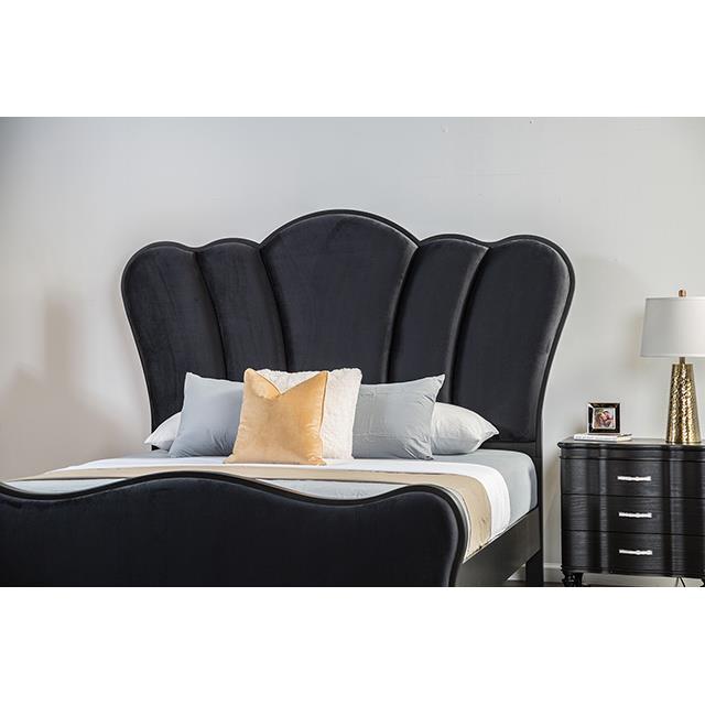  Furniture of America Melodi Parc FM7416BK-Q-BED Queen Bed IMAGE 4
