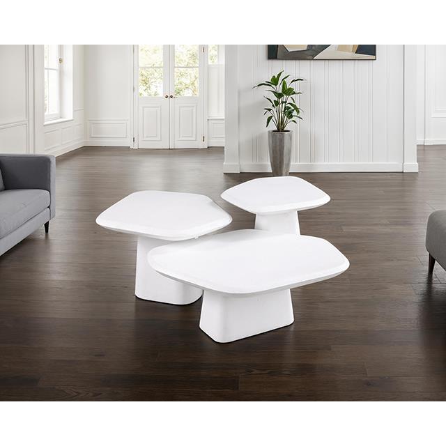  Furniture of America Amico FM47015WH-E-PK End Table IMAGE 2