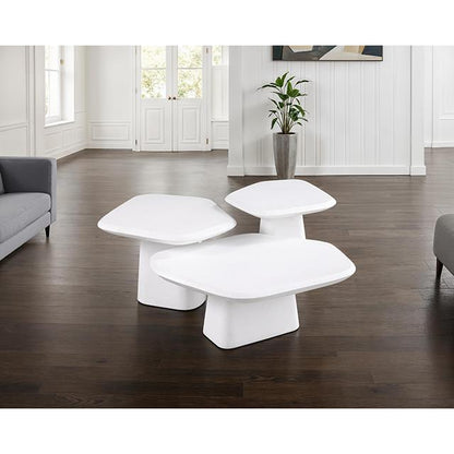  Furniture of America Amico FM47015WH-E-PK End Table IMAGE 2
