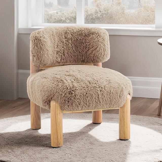  Furniture of America Alcoba FM-AC8019LB Accent Chair IMAGE 1