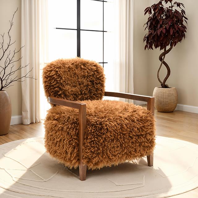  Furniture of America Eramo FM-AC6005BR Accent Chair IMAGE 2