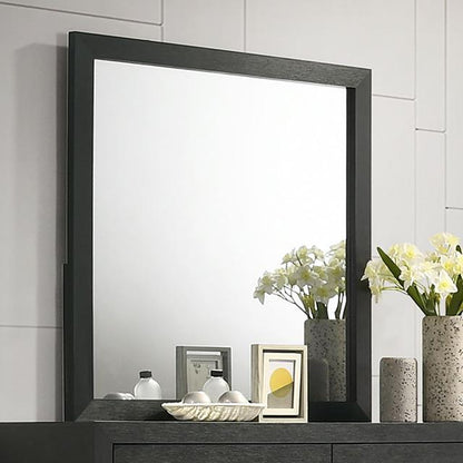  Furniture of America Latimer FM7270BK-M Mirror IMAGE 1
