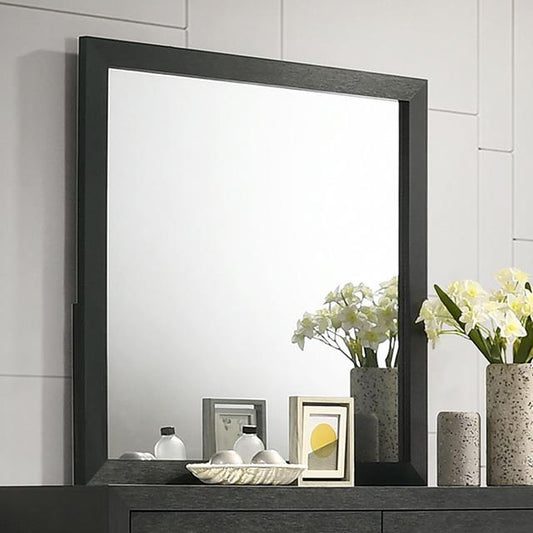  Furniture of America Latimer FM7270BK-M Mirror IMAGE 1