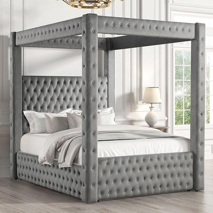  Furniture of America Etherea CM7482GY-Q-BED Queen Bed IMAGE 1