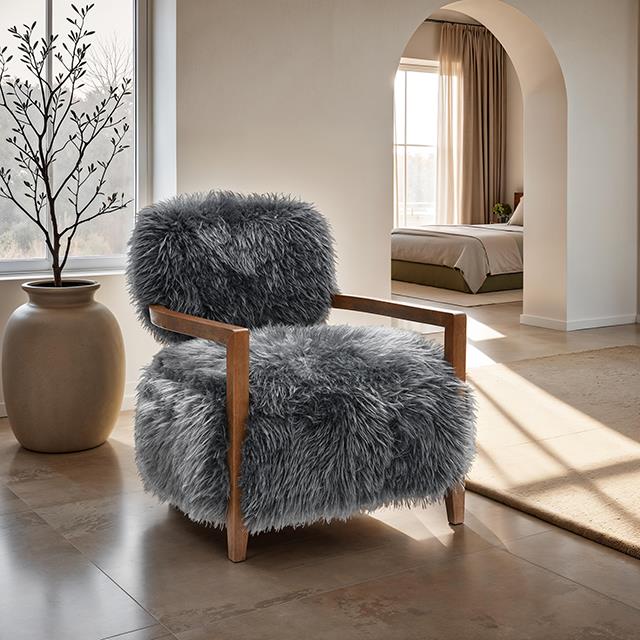  Furniture of America Eramo FM-AC6005DG Accent Chair IMAGE 2