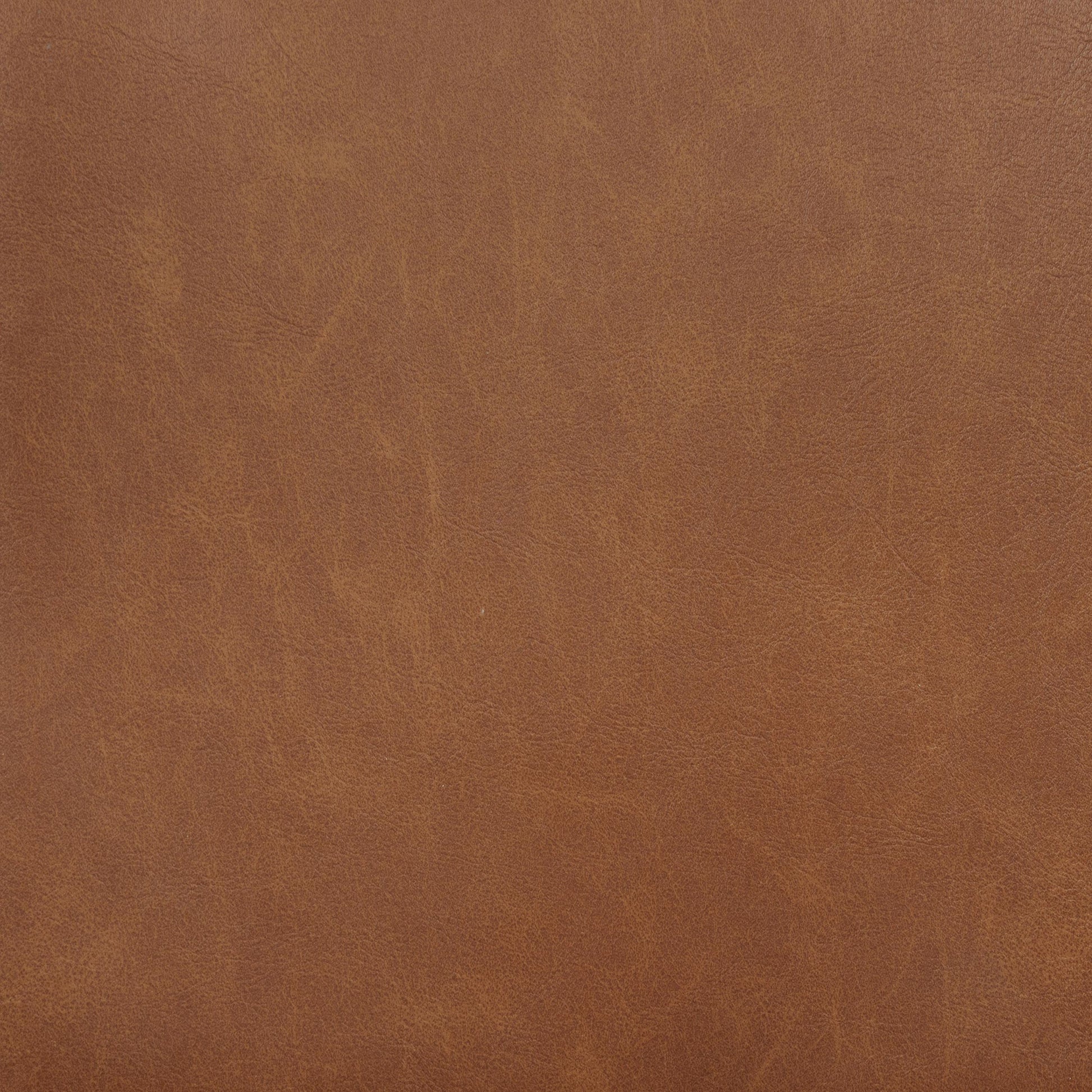  Coaster Furniture Tegan 107079 Set of 2 Faux Leather Upholstered Counter Height Chair - Cognac IMAGE 11