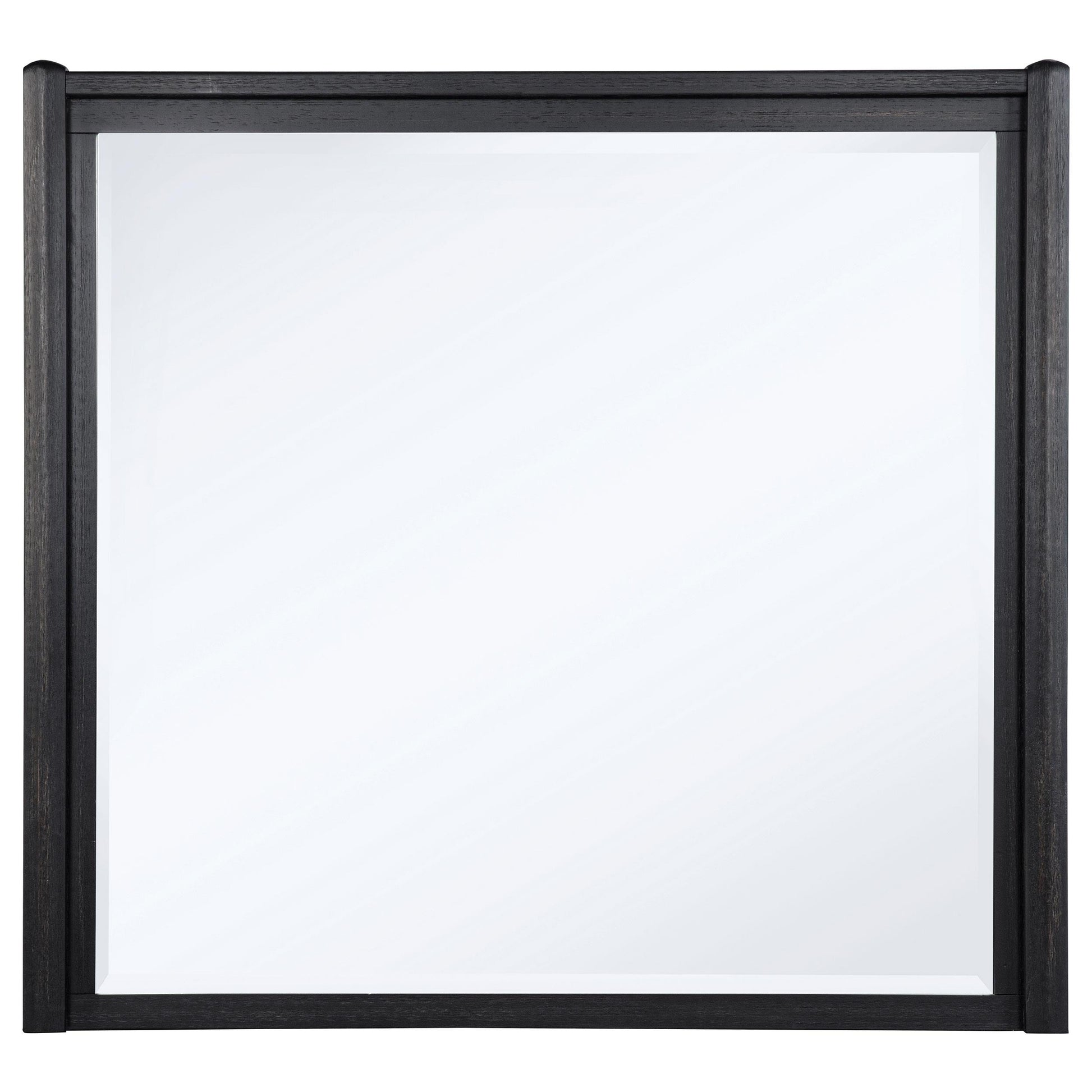  Coaster Furniture Leandro 222494 Dresser Mirror - Burnished Black IMAGE 2