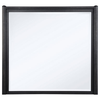  Coaster Furniture Leandro 222494 Dresser Mirror - Burnished Black IMAGE 2