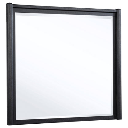 Coaster Furniture Leandro 222494 Dresser Mirror - Burnished Black IMAGE 3