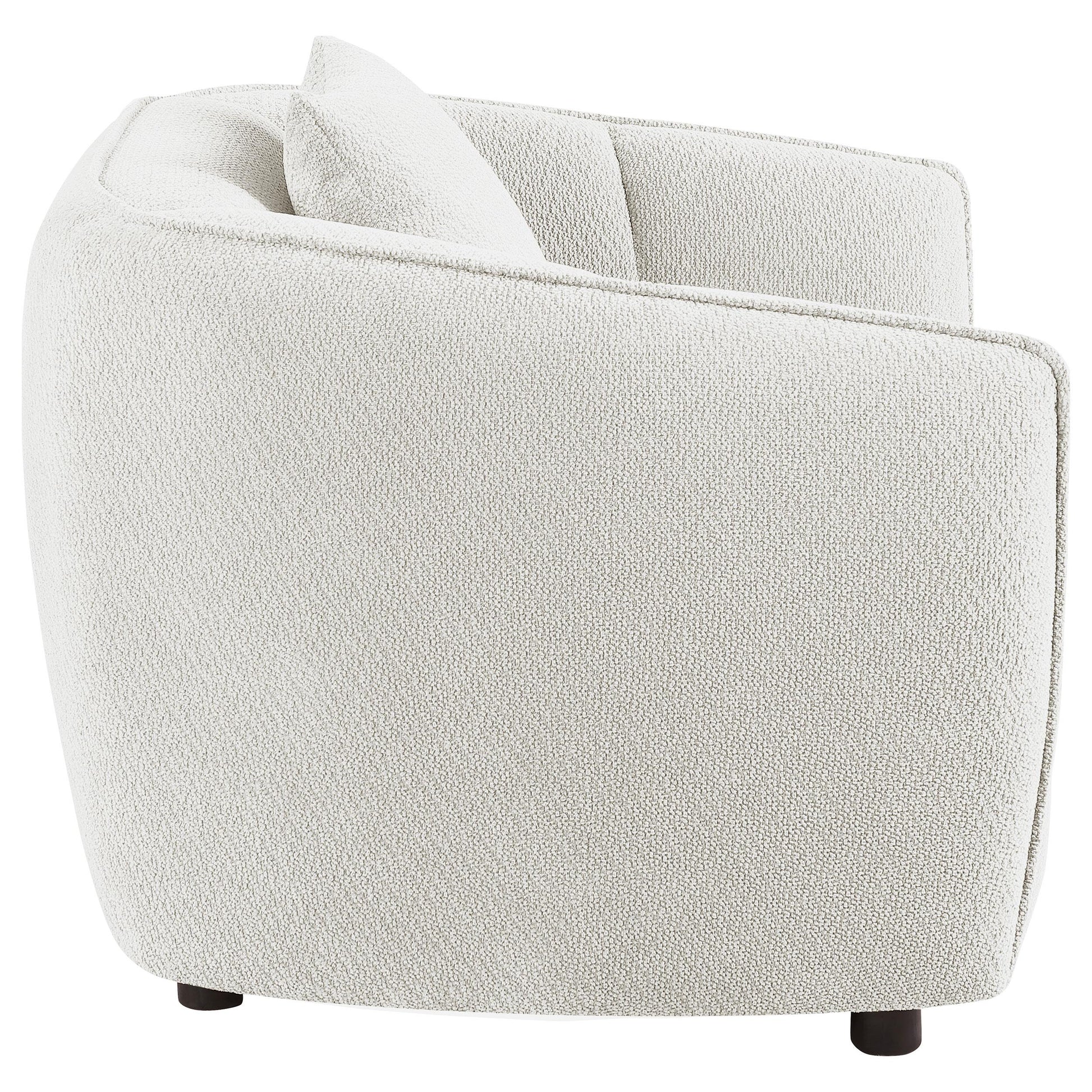  Coaster Furniture Aleisha 503066 Fabric Upholstered Accent Chair - Sand IMAGE 3