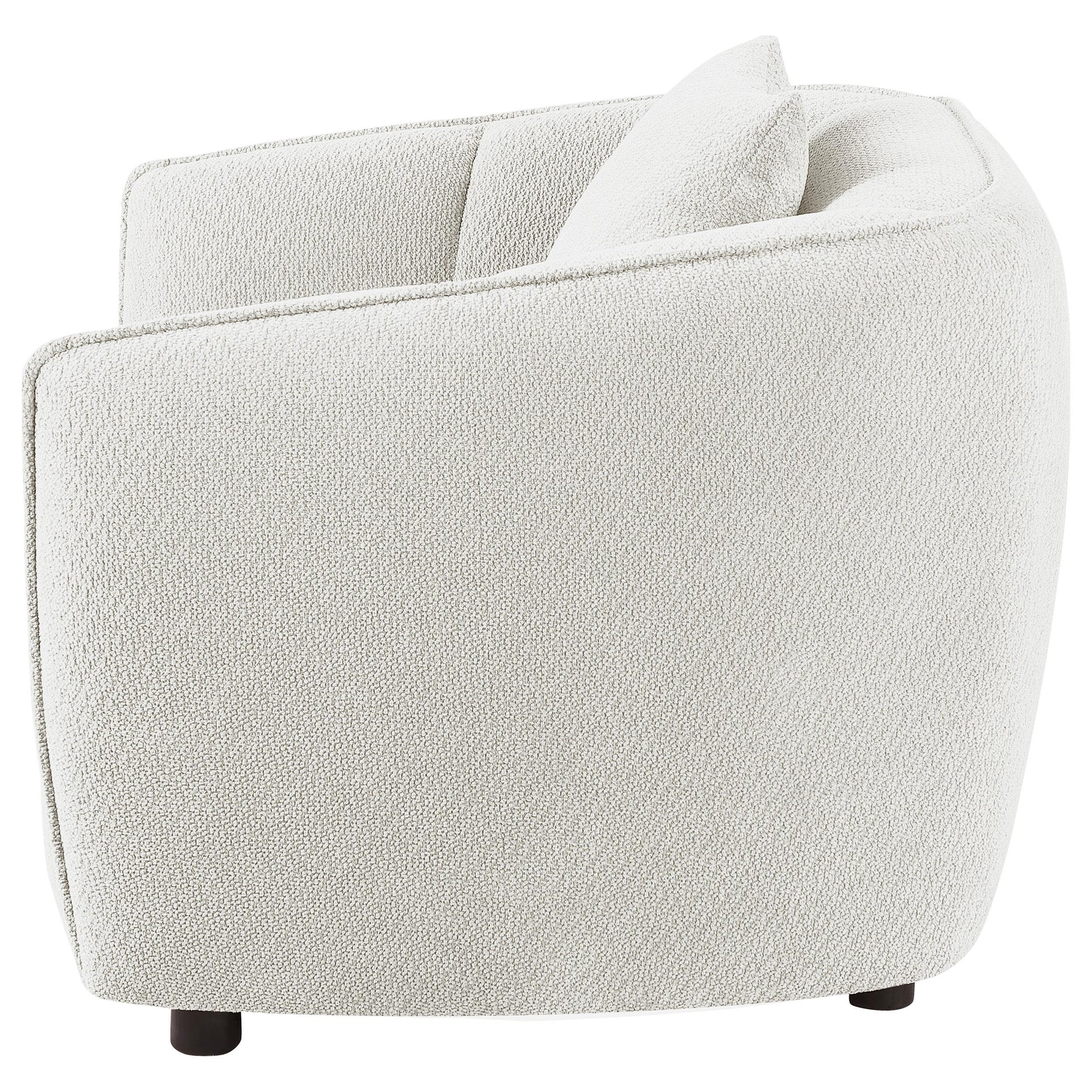  Coaster Furniture Aleisha 503066 Fabric Upholstered Accent Chair - Sand IMAGE 4