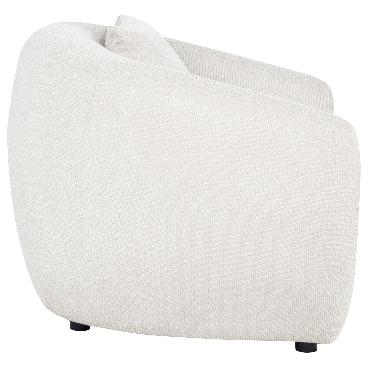  Coaster Furniture Isabella 504973 Fabric Upholstered Accent Chair - Sand IMAGE 4