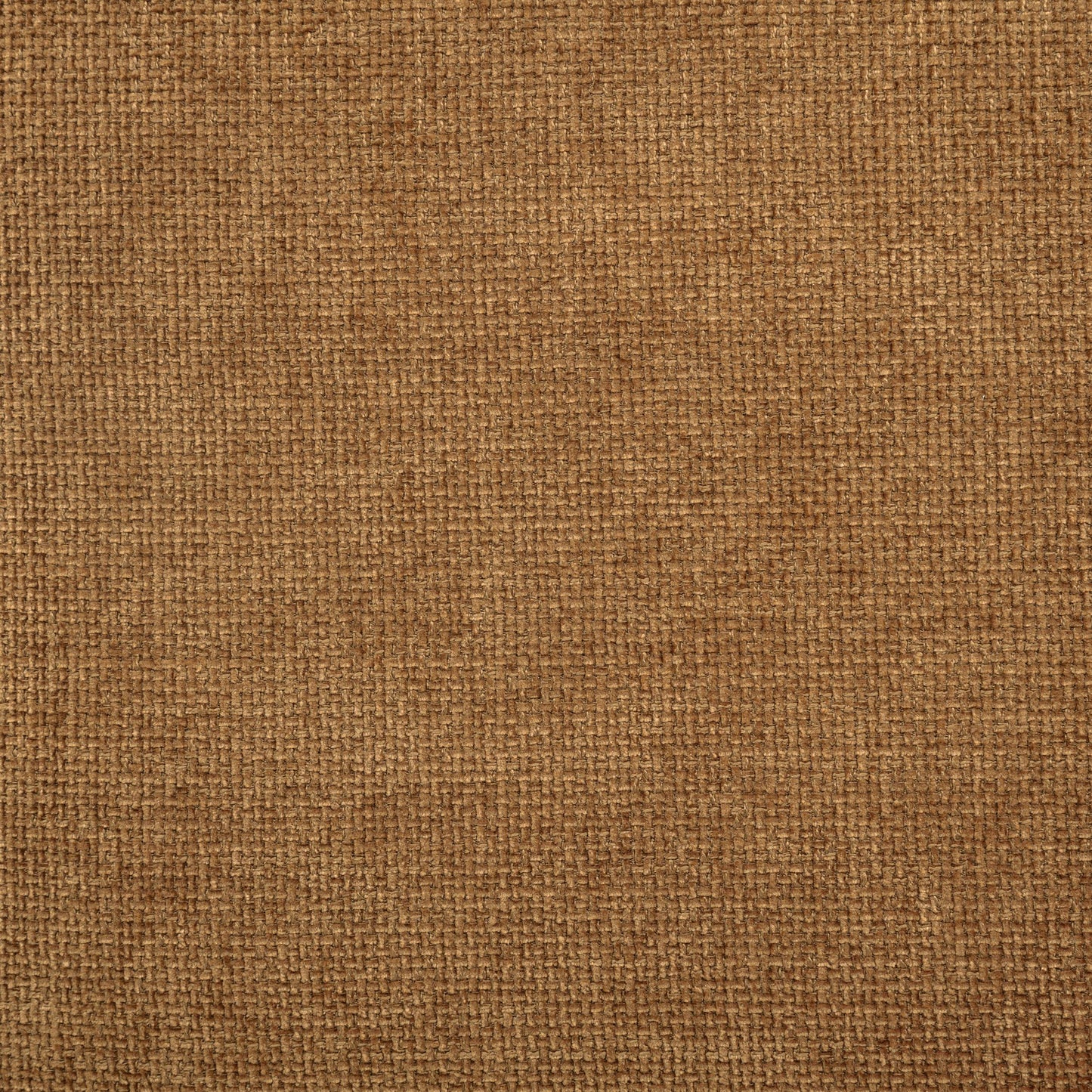  Coaster Furniture Octavia 509343 Upholstered Track Arm Accent Chair - Amber IMAGE 7