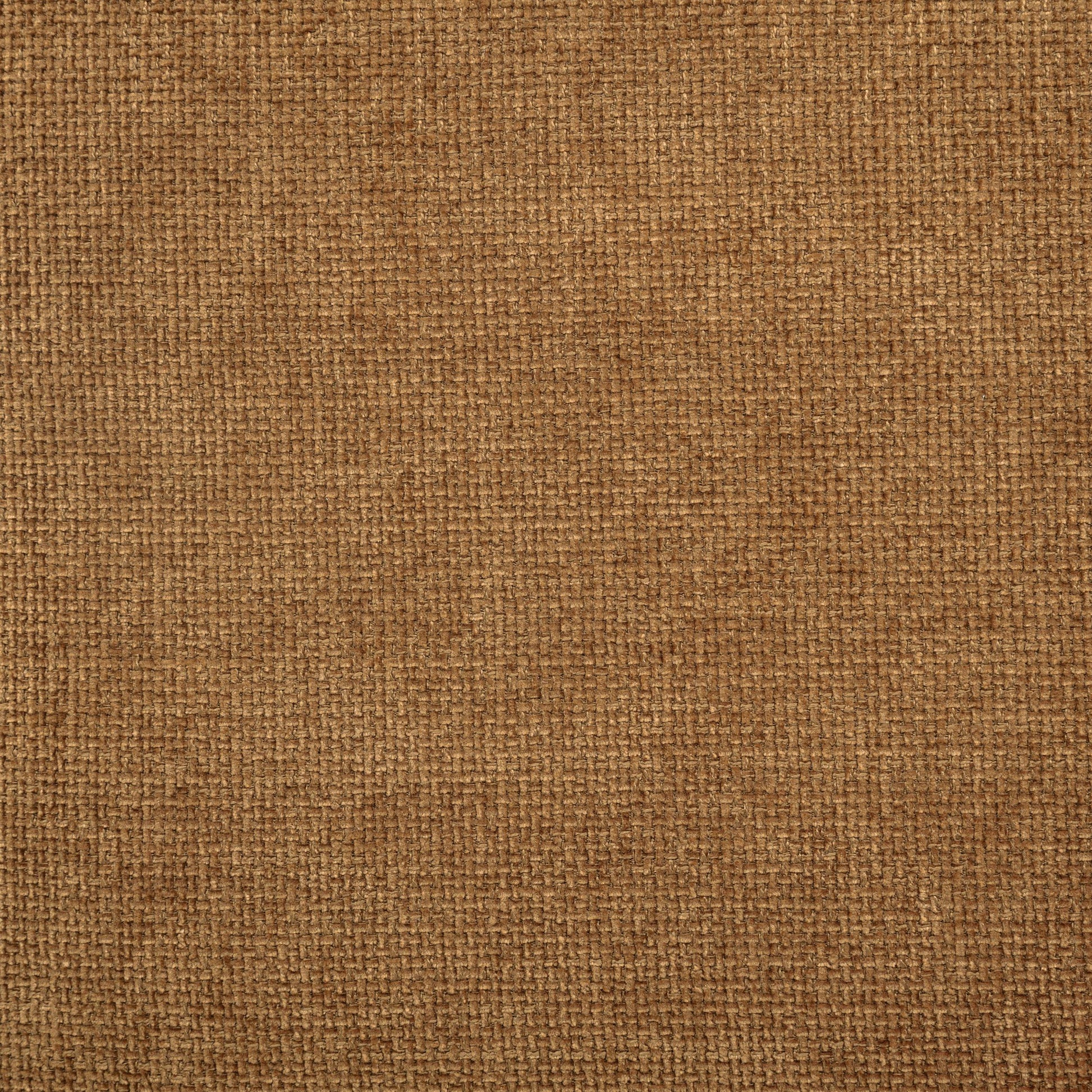  Coaster Furniture Octavia 509343 Upholstered Track Arm Accent Chair - Amber IMAGE 7