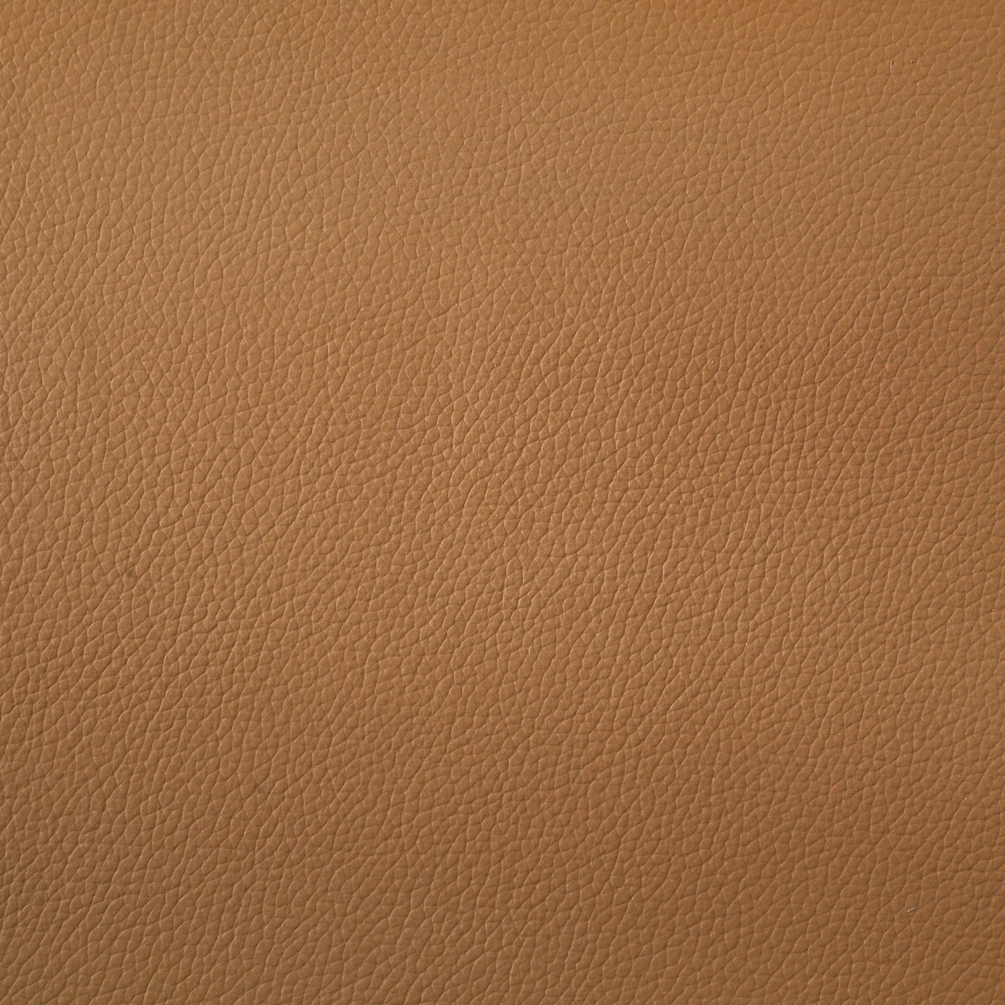  Coaster Furniture Buxton 509501 Top Grain Leather Upholstered Sofa - Orange IMAGE 9