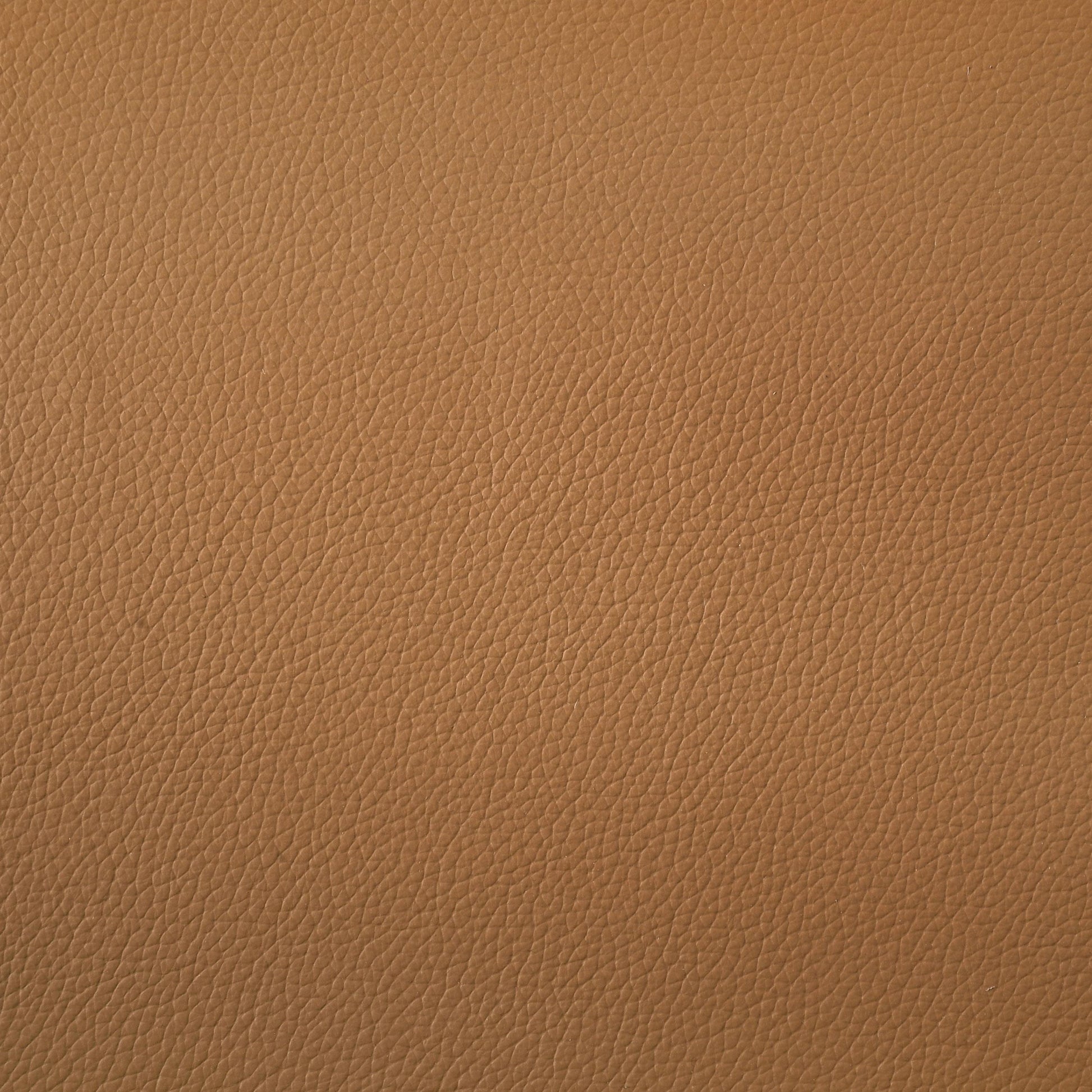  Coaster Furniture Buxton 509502 Top Grain Leather Upholstered Loveseat - Orange IMAGE 9