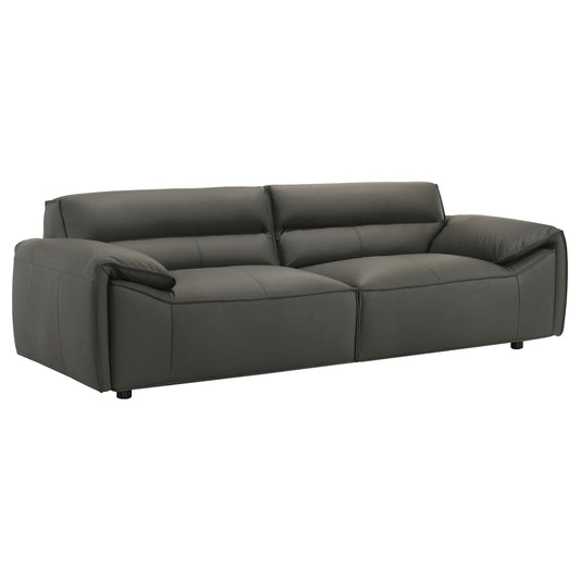  Coaster Furniture Buxton 509504 Top Grain Leather Upholstered Sofa - Graphite IMAGE 1