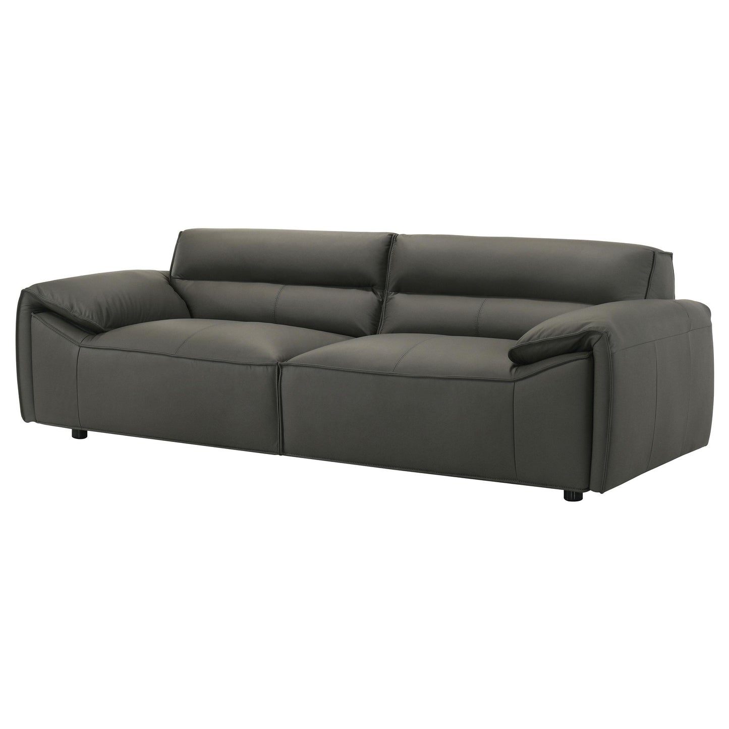  Coaster Furniture Buxton 509504 Top Grain Leather Upholstered Sofa - Graphite IMAGE 11
