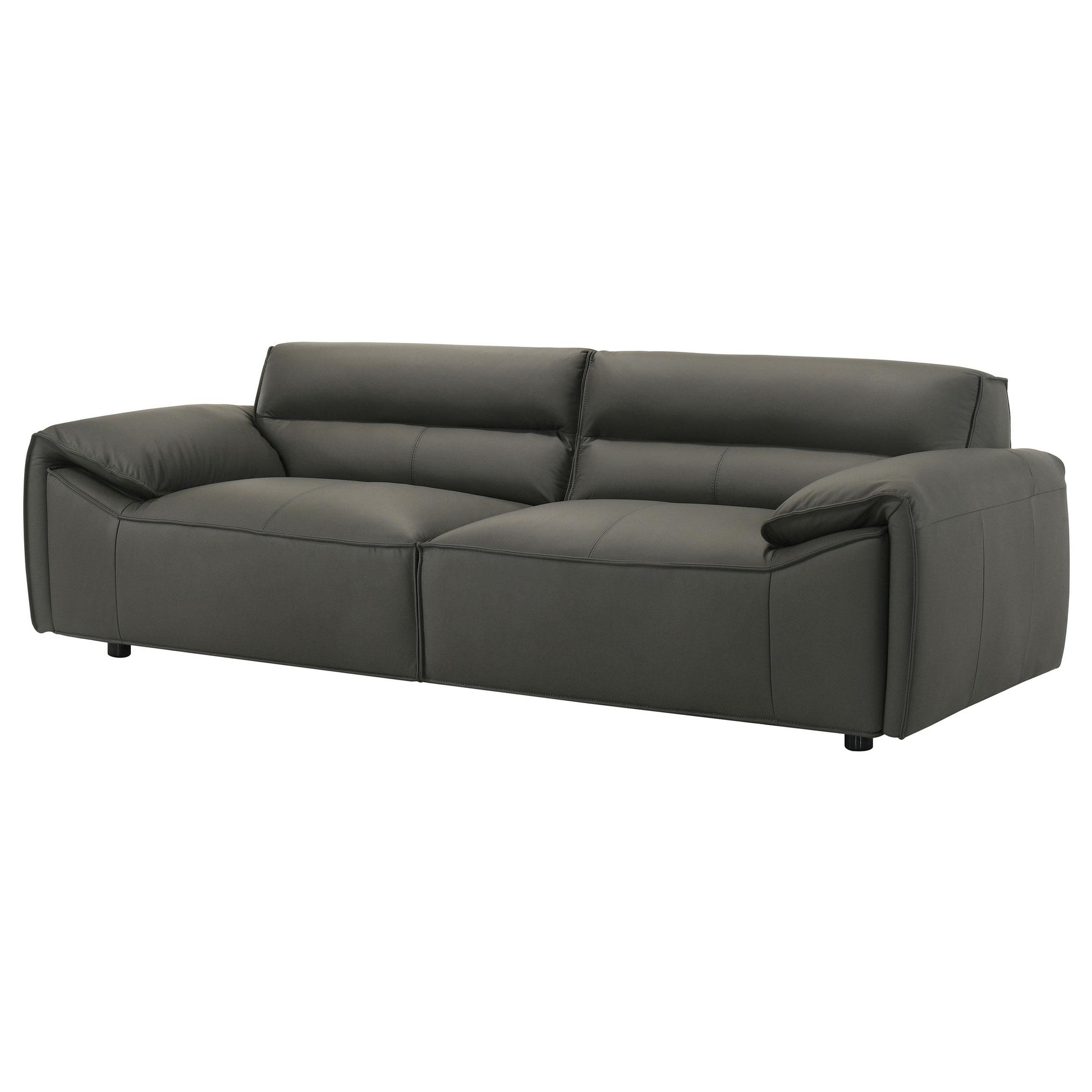  Coaster Furniture Buxton 509504 Top Grain Leather Upholstered Sofa - Graphite IMAGE 11