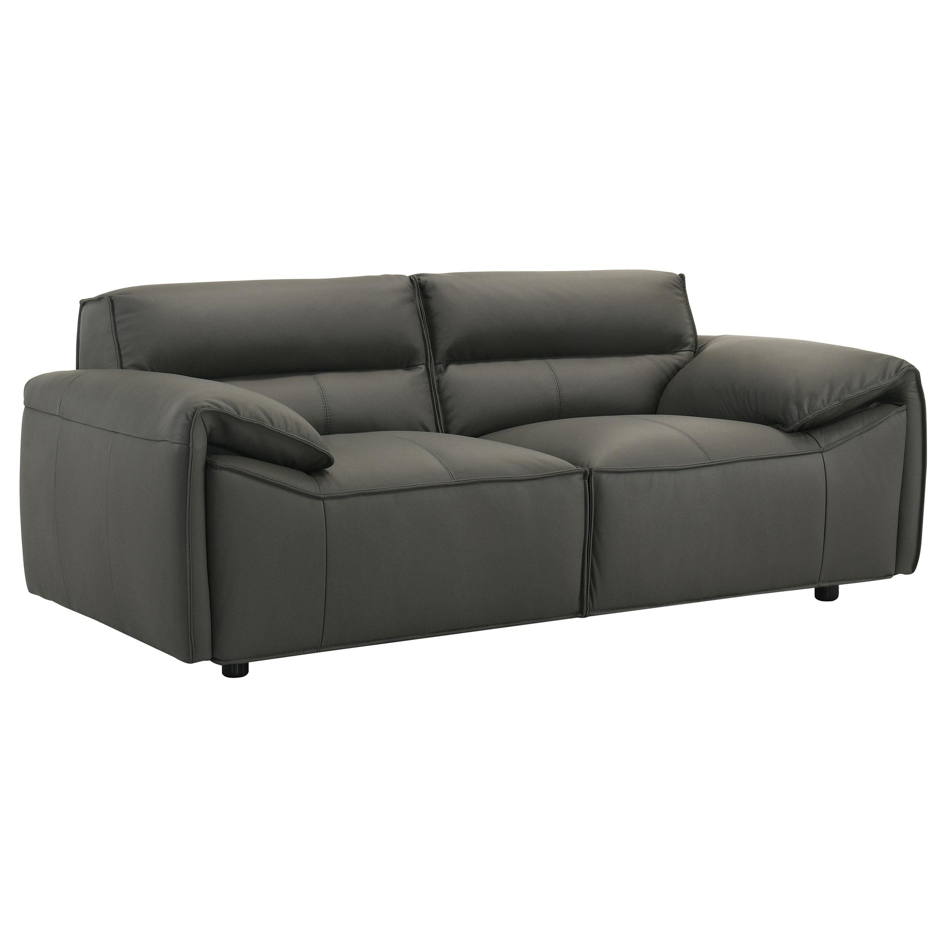  Coaster Furniture Buxton 509505 Top Grain Leather Upholstered Loveseat - Graphite IMAGE 1