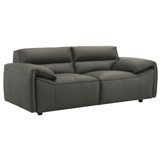  Coaster Furniture Buxton 509505 Top Grain Leather Upholstered Loveseat - Graphite IMAGE 1