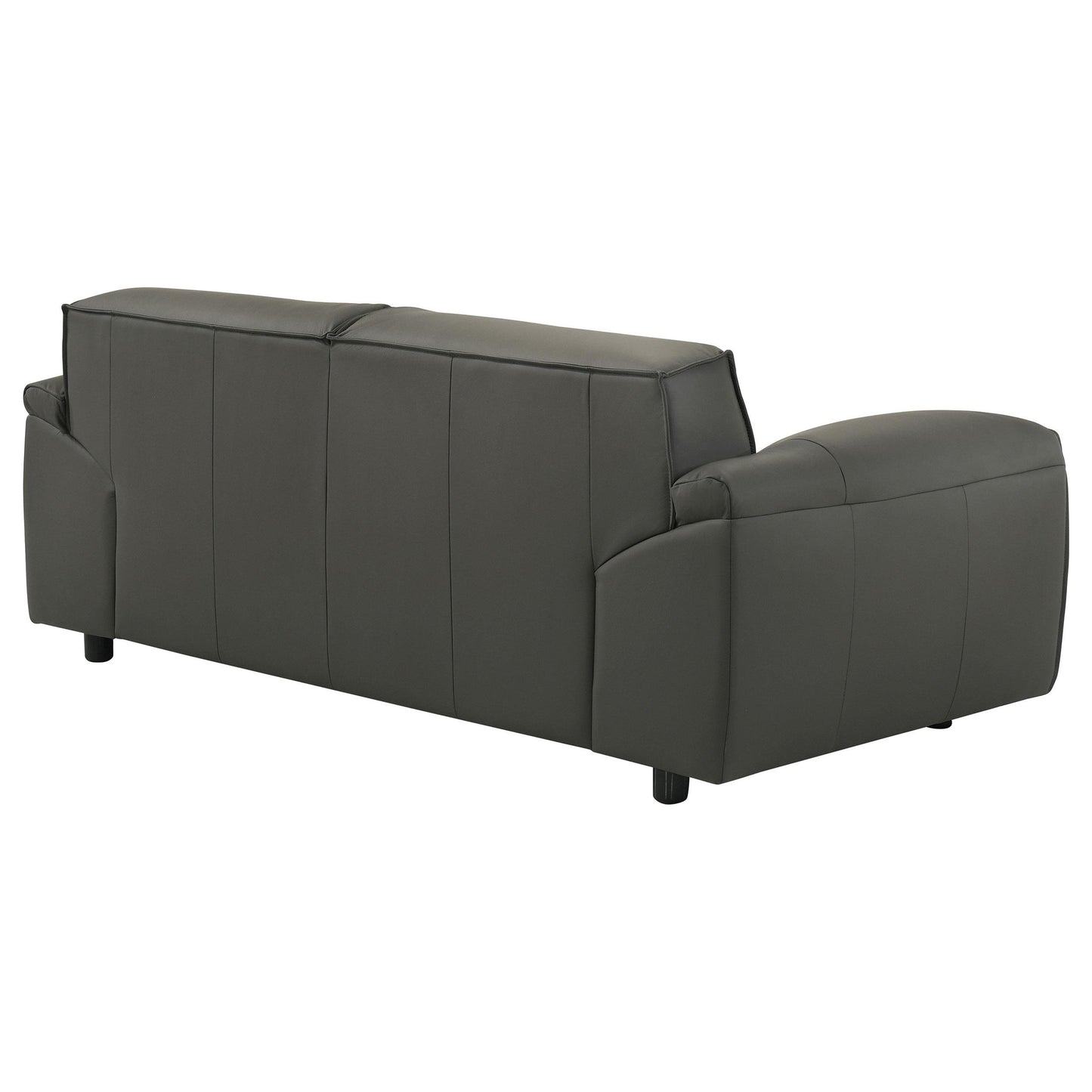  Coaster Furniture Buxton 509505 Top Grain Leather Upholstered Loveseat - Graphite IMAGE 10