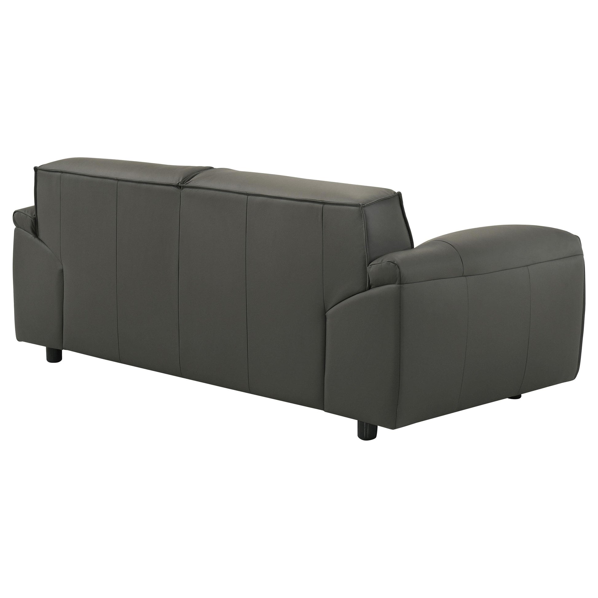  Coaster Furniture Buxton 509505 Top Grain Leather Upholstered Loveseat - Graphite IMAGE 10