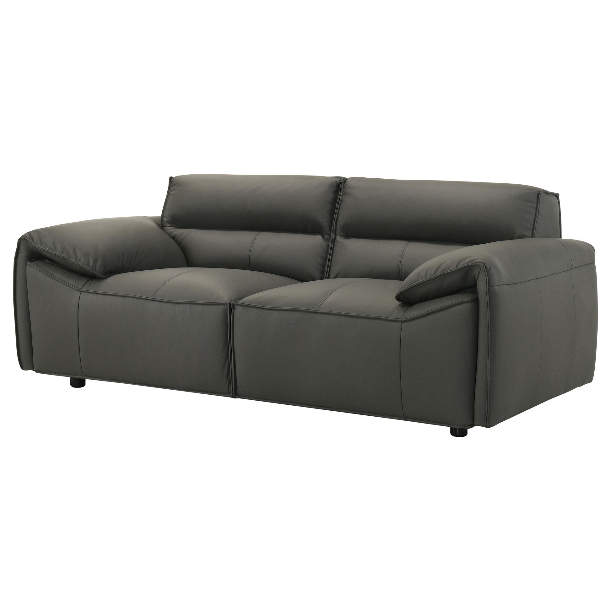  Coaster Furniture Buxton 509505 Top Grain Leather Upholstered Loveseat - Graphite IMAGE 11