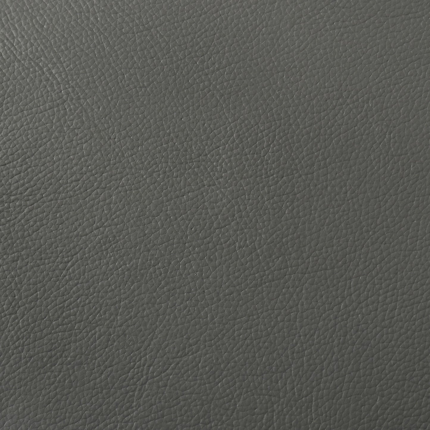  Coaster Furniture Buxton 509505 Top Grain Leather Upholstered Loveseat - Graphite IMAGE 9