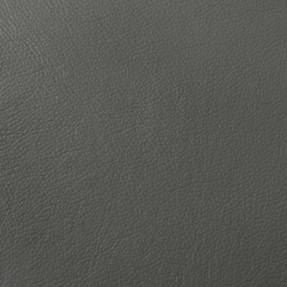  Coaster Furniture Buxton 509505 Top Grain Leather Upholstered Loveseat - Graphite IMAGE 9