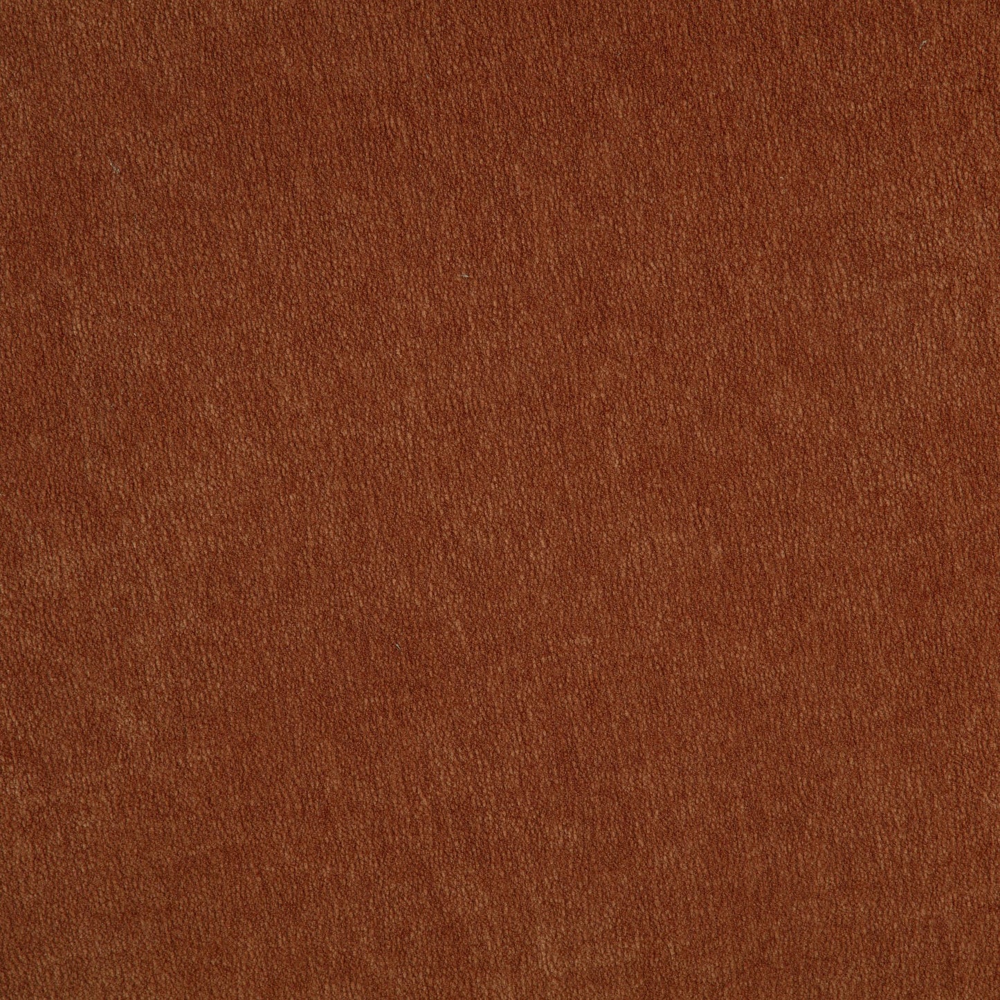  Coaster Furniture Arnaud 903488 Chenille Upholstered Swivel Accent Chair - Burnt Orange IMAGE 4