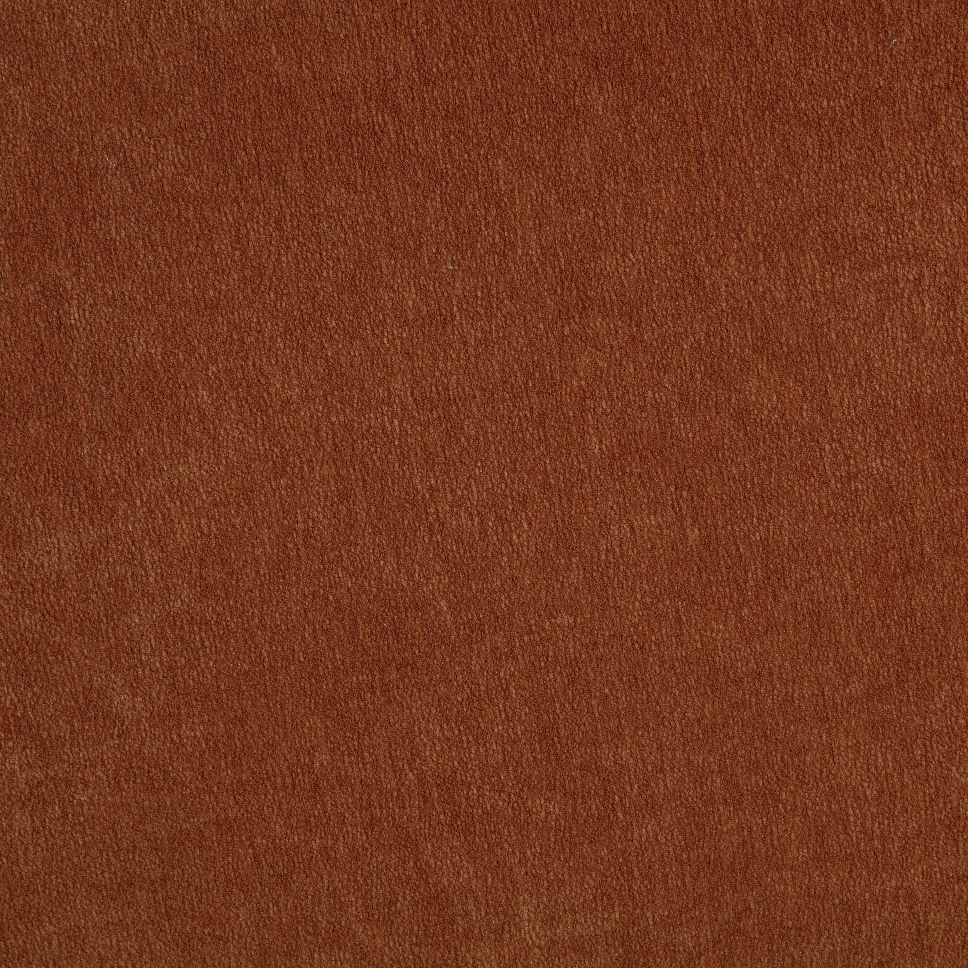  Coaster Furniture Arnaud 903488 Chenille Upholstered Swivel Accent Chair - Burnt Orange IMAGE 4