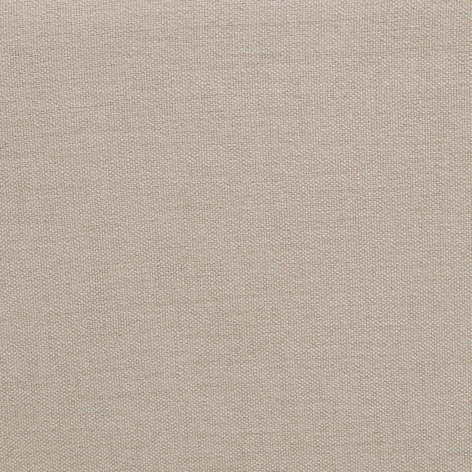  Coaster Furniture Marsha 915160 52-inch Upholstered Entryway Accent Bench - Latte IMAGE 5