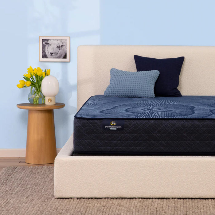 Serta Perfect Sleeper Ellis Nights Hybrid Mattress