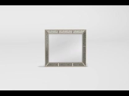 Furniture of America Loraine Dresser Mirror CM7195M EXTERNAL_VIDEO 1