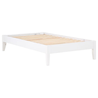 Hounslow Bed
