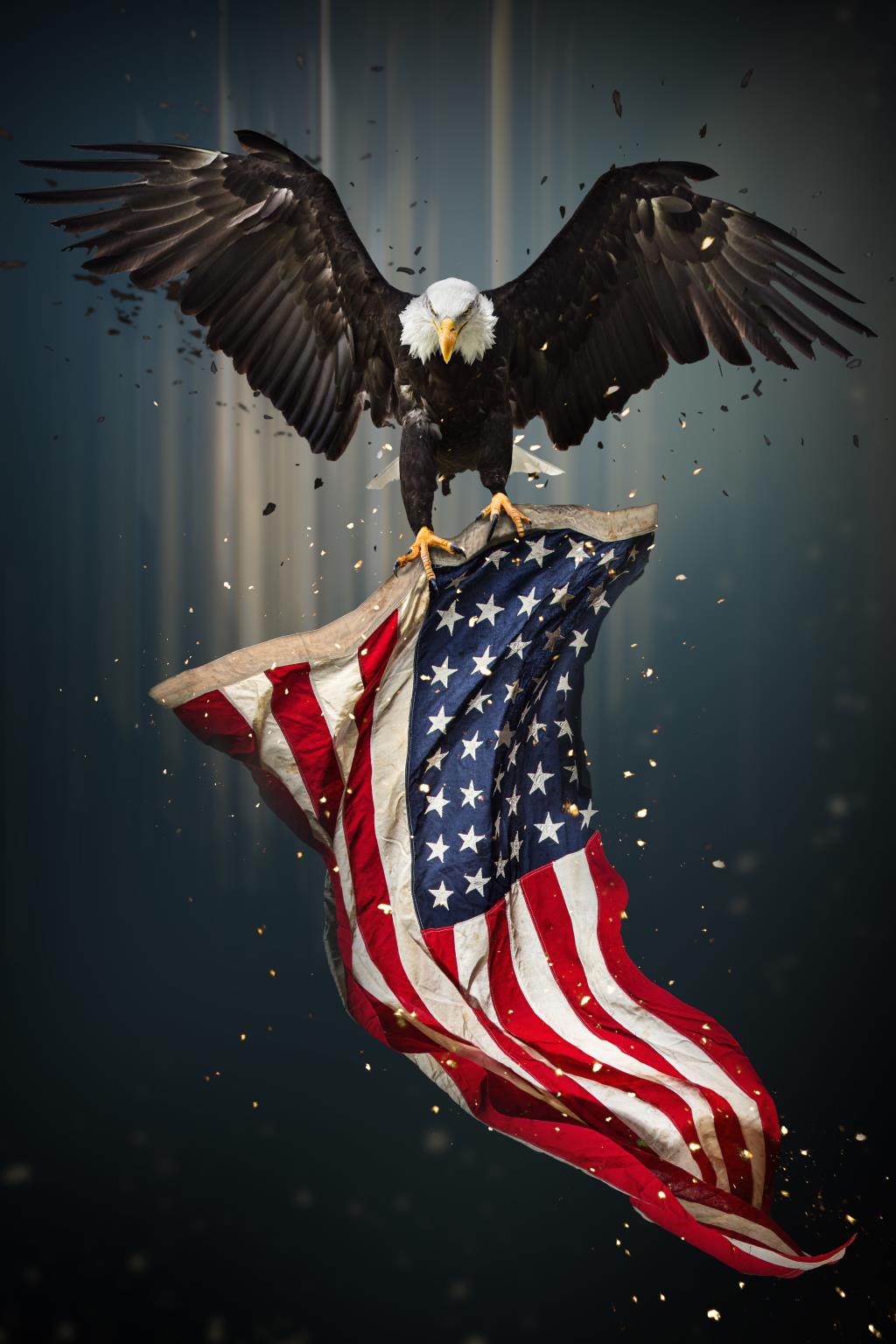 Tempered Glass w/Foil - Eagle Flag